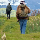 Walking Tours Pyrenees France - man walking near mountains