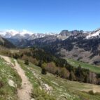 Walking Tours Pyrenees France - man walking near mountains